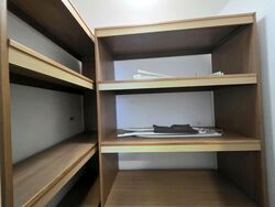 Palm Galleria (D15), Apartment #529847841